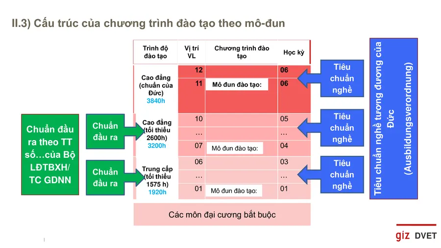 Cần cho phép học sinh học cao đẳng không cần bằng tốt nghiệp THPT