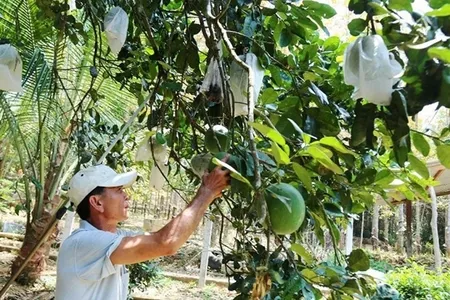 Tự tin khởi nghiệp, tìm việc làm sau khi học nghề