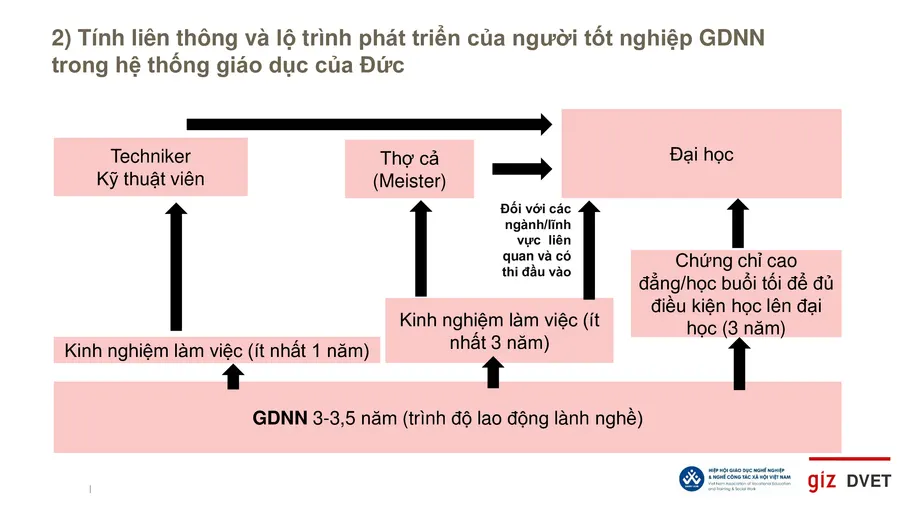 Cần cho phép học sinh học cao đẳng không cần bằng tốt nghiệp THPT