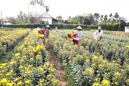 Định hướng đúng để nâng cao chất lượng đào tạo nghề ở nông thôn