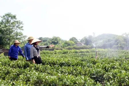 Đào tạo nghề theo thế mạnh địa phương để nâng cao hiệu quả