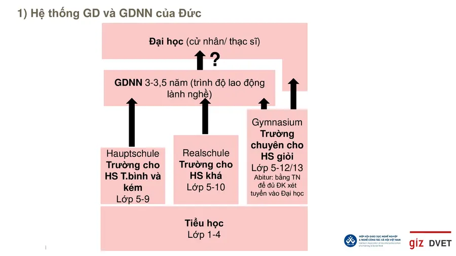 Cần cho phép học sinh học cao đẳng không cần bằng tốt nghiệp THPT